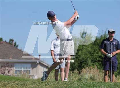 Thumbnail 3 in Tiger Invite photogallery.