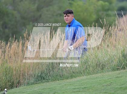 Thumbnail 3 in Tiger Invite photogallery.