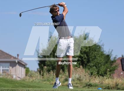 Thumbnail 1 in Tiger Invite photogallery.