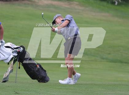 Thumbnail 1 in Tiger Invite photogallery.