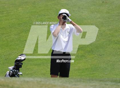 Thumbnail 1 in Tiger Invite photogallery.