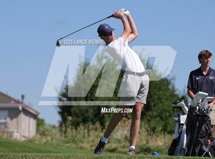 Thumbnail 3 in Tiger Invite photogallery.