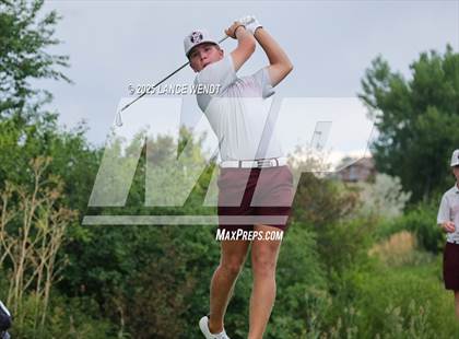 Thumbnail 1 in Tiger Invite photogallery.