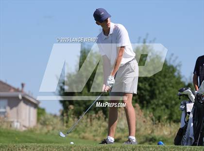 Thumbnail 1 in Tiger Invite photogallery.
