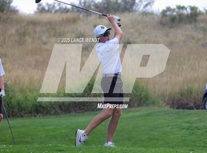 Thumbnail 1 in Tiger Invite photogallery.