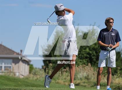 Thumbnail 2 in Tiger Invite photogallery.