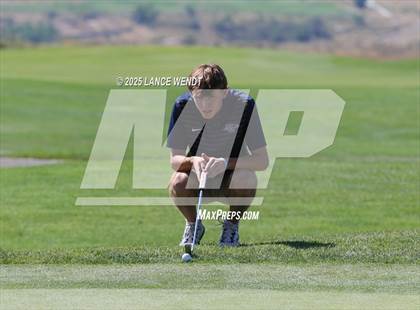 Thumbnail 1 in Tiger Invite photogallery.