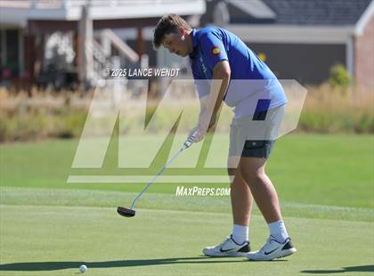 Thumbnail 1 in Tiger Invite photogallery.
