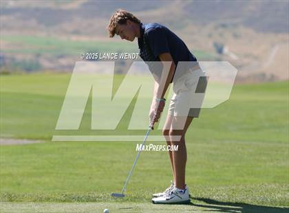 Thumbnail 3 in Tiger Invite photogallery.
