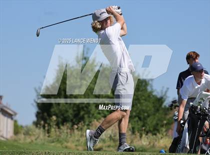 Thumbnail 1 in Tiger Invite photogallery.