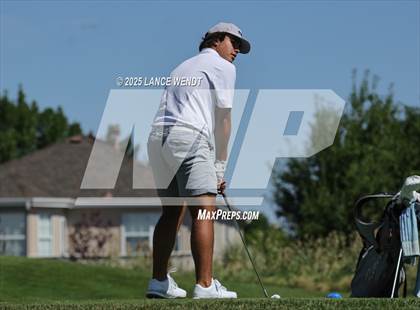 Thumbnail 3 in Tiger Invite photogallery.