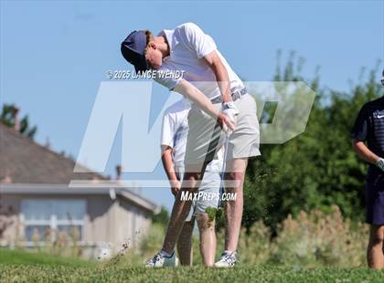 Thumbnail 2 in Tiger Invite photogallery.