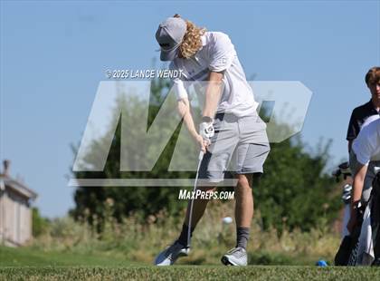 Thumbnail 3 in Tiger Invite photogallery.