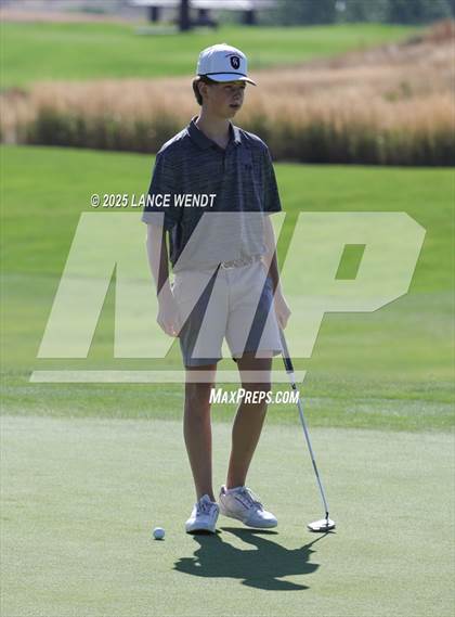 Thumbnail 1 in Tiger Invite photogallery.