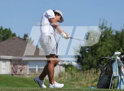 Thumbnail 1 in Tiger Invite photogallery.