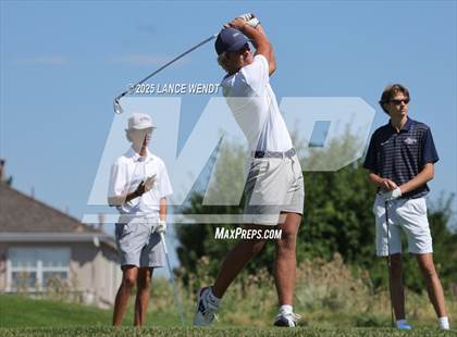 Thumbnail 2 in Tiger Invite photogallery.