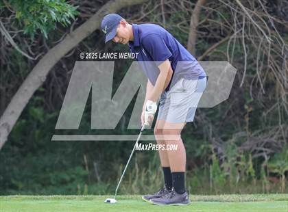Thumbnail 1 in Tiger Invite photogallery.