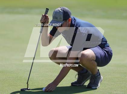 Thumbnail 3 in Tiger Invite photogallery.