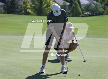 Thumbnail 2 in Tiger Invite photogallery.