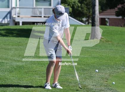 Thumbnail 1 in Tiger Invite photogallery.