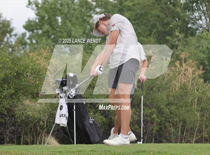 Thumbnail 1 in Tiger Invite photogallery.