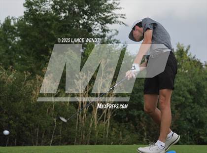 Thumbnail 3 in Tiger Invite photogallery.