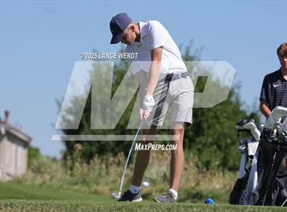 Thumbnail 2 in Tiger Invite photogallery.