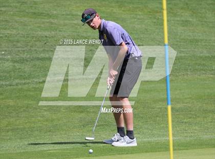 Thumbnail 1 in Tiger Invite photogallery.