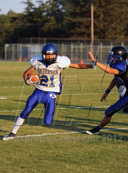 Thumbnail 2 in Anderson @ Orland photogallery.
