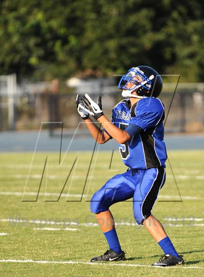 Thumbnail 2 in Anderson @ Orland photogallery.