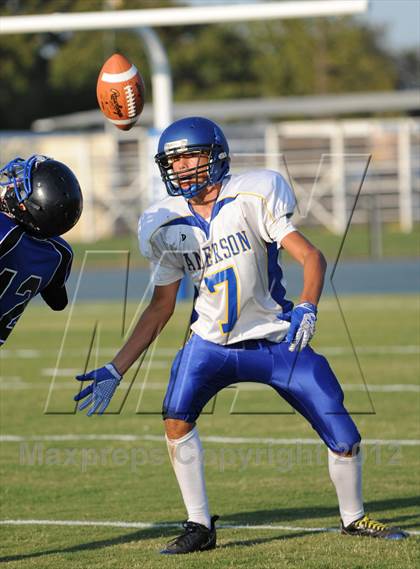 Thumbnail 2 in Anderson @ Orland photogallery.