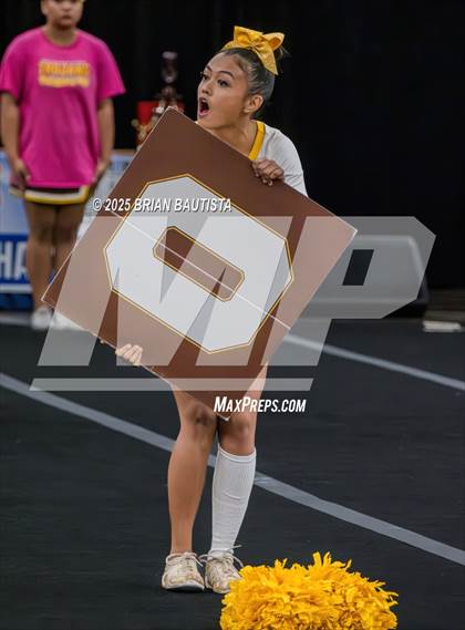 Thumbnail 3 in HHSAA Championships photogallery.