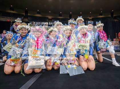 Thumbnail 3 in HHSAA Championships photogallery.