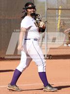 Photo from the gallery "Cactus vs. Sunrise Mountain"