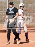 Photo from the gallery "Cactus vs. Sunrise Mountain"