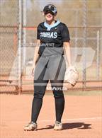 Photo from the gallery "Cactus vs. Sunrise Mountain"