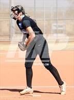 Photo from the gallery "Cactus vs. Sunrise Mountain"