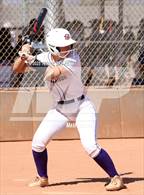 Photo from the gallery "Cactus vs. Sunrise Mountain"