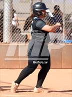 Photo from the gallery "Cactus vs. Sunrise Mountain"