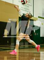 Photo from the gallery "Cedarcrest @ Redmond"
