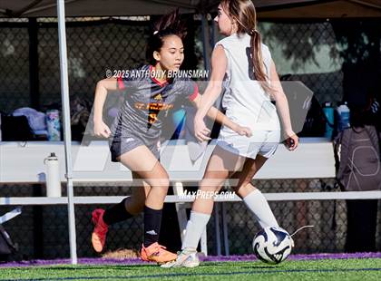 Thumbnail 3 in St. Francis vs Colfax JV photogallery.