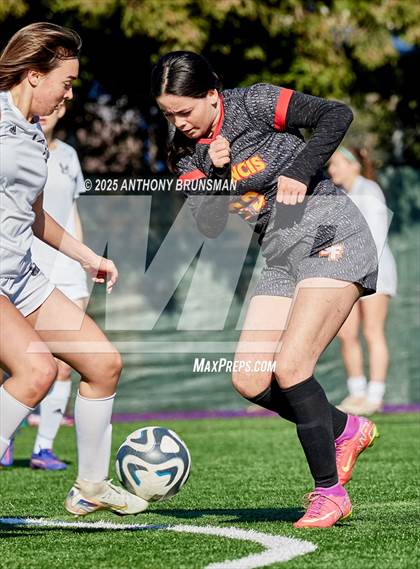 Thumbnail 3 in St. Francis vs Colfax JV photogallery.