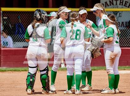 Thumbnail 2 in Marysville vs. Dixon (CIF SJS D4 Final) photogallery.