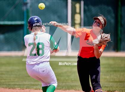 Thumbnail 2 in Marysville vs. Dixon (CIF SJS D4 Final) photogallery.
