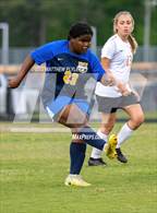 Photo from the gallery "South View @ Cape Fear"