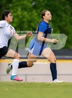Photo from the gallery "South View @ Cape Fear"