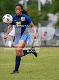 Photo from the gallery "South View @ Cape Fear"