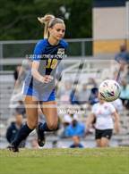 Photo from the gallery "South View @ Cape Fear"