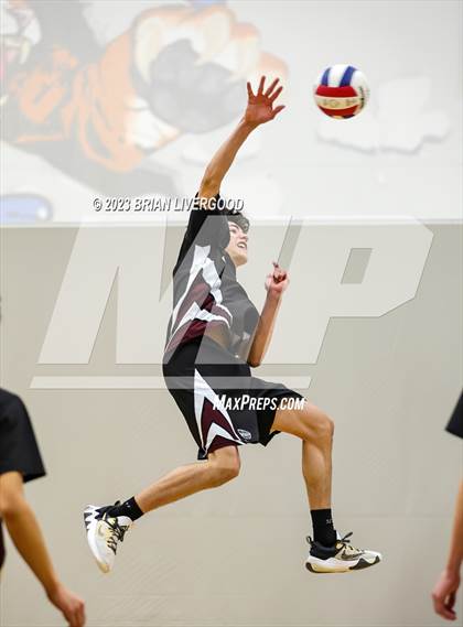 Thumbnail 2 in Regis Groff vs. Discovery Canyon photogallery.