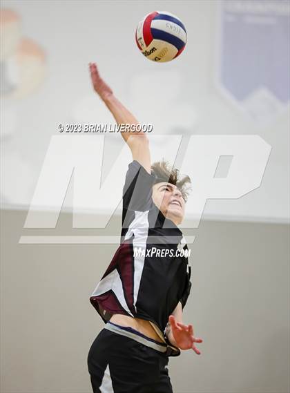 Thumbnail 3 in Regis Groff vs. Discovery Canyon photogallery.